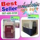 กรง 087-680-9739