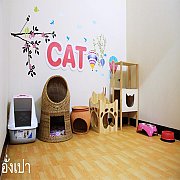 [รัตนาธิเบศร์] โรงแรมแมว Pao Cat Hotel ฝากแมวนนทบุรี ฝากเลี้ยงแมวรัตนาธิเบศร์ TE...