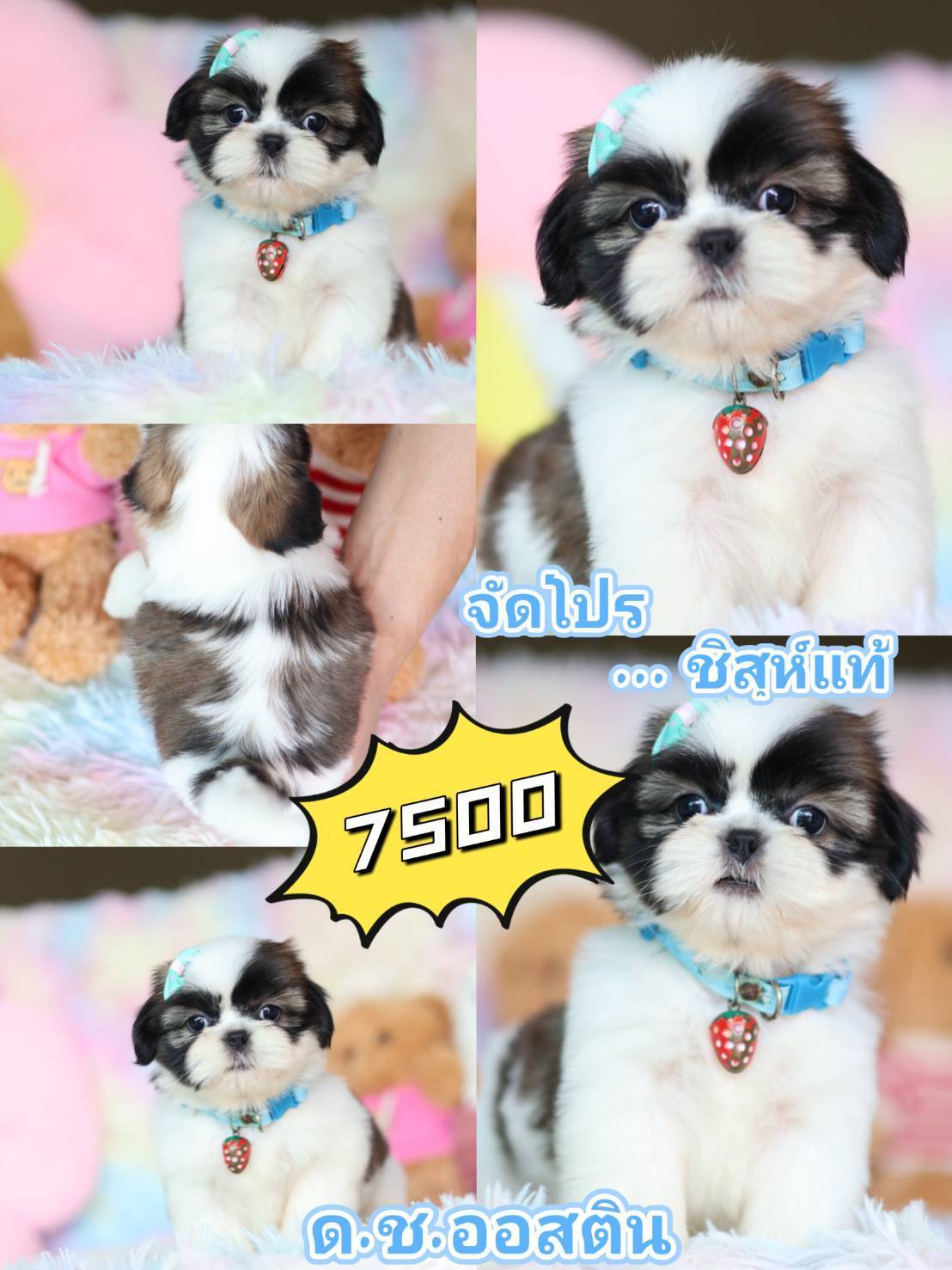 กิ๊ฟซ่า พร้อมวัคซีน