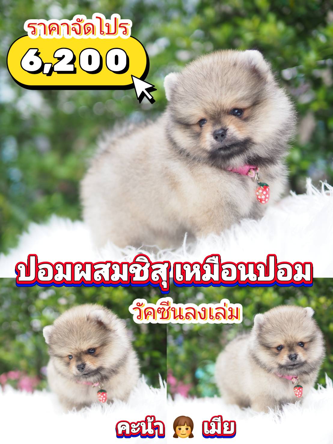 กิ๊ฟซ่า ❣️ จัดโปร