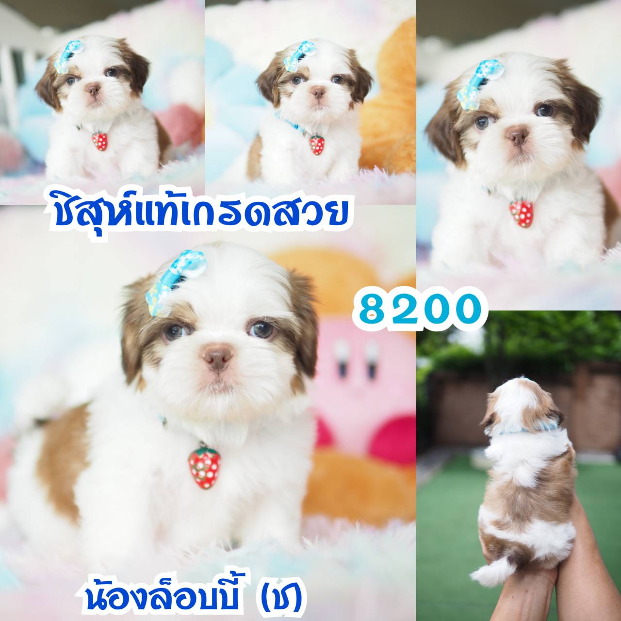 ❤️กิ๊ฟซ่า จัดโปร เกรดสวย สะพานใหม่ กทม.