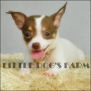 LITTLE DOG'S FARM : น้องได้บ้านใหม่แล้วนะค่ะ