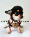 Little Dog's Farm น้องได้บ้านใหม่ใจดีแร้วค่ะ