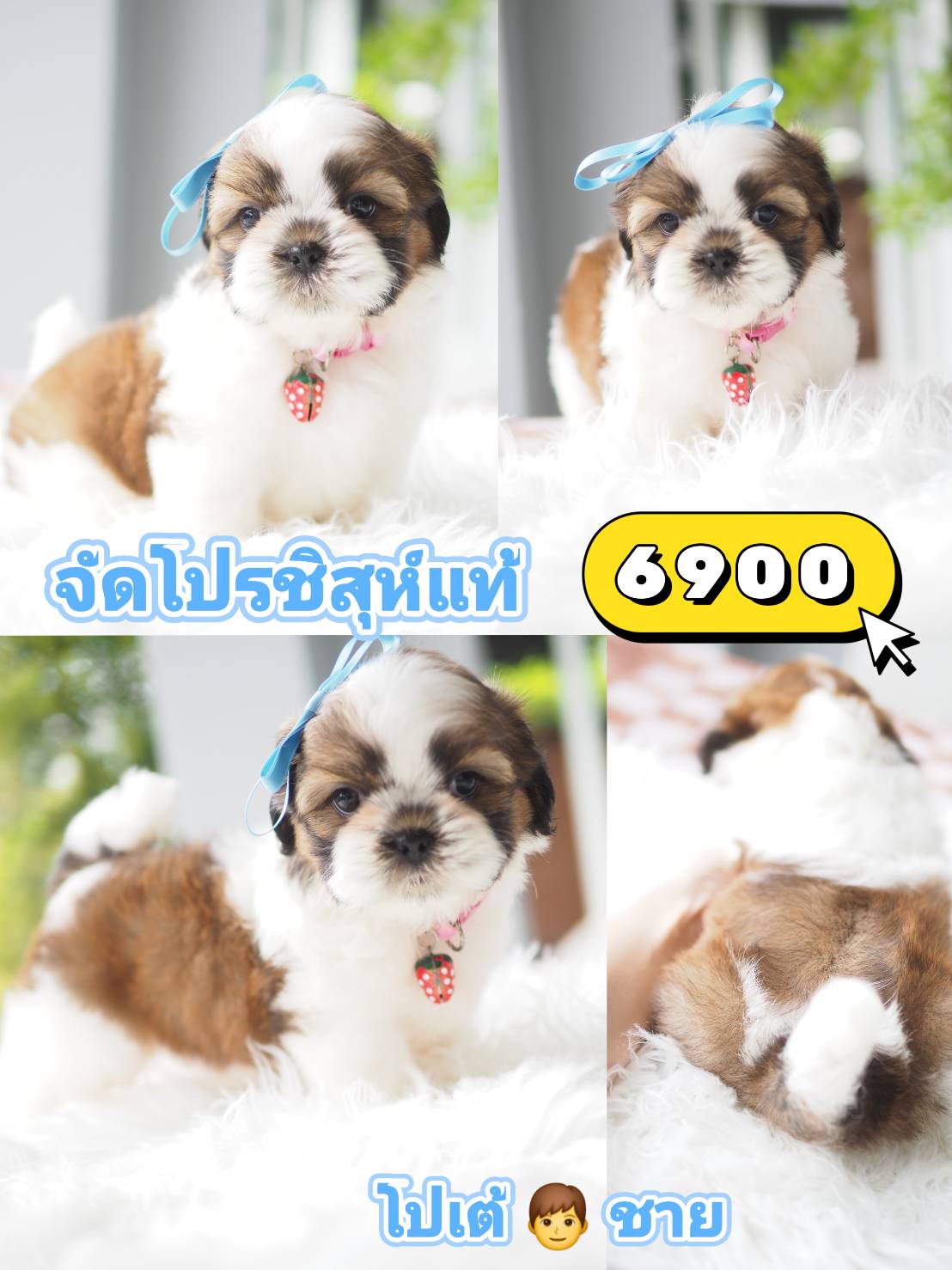 กิ๊ฟซ่า ❣️ 6900 แท้