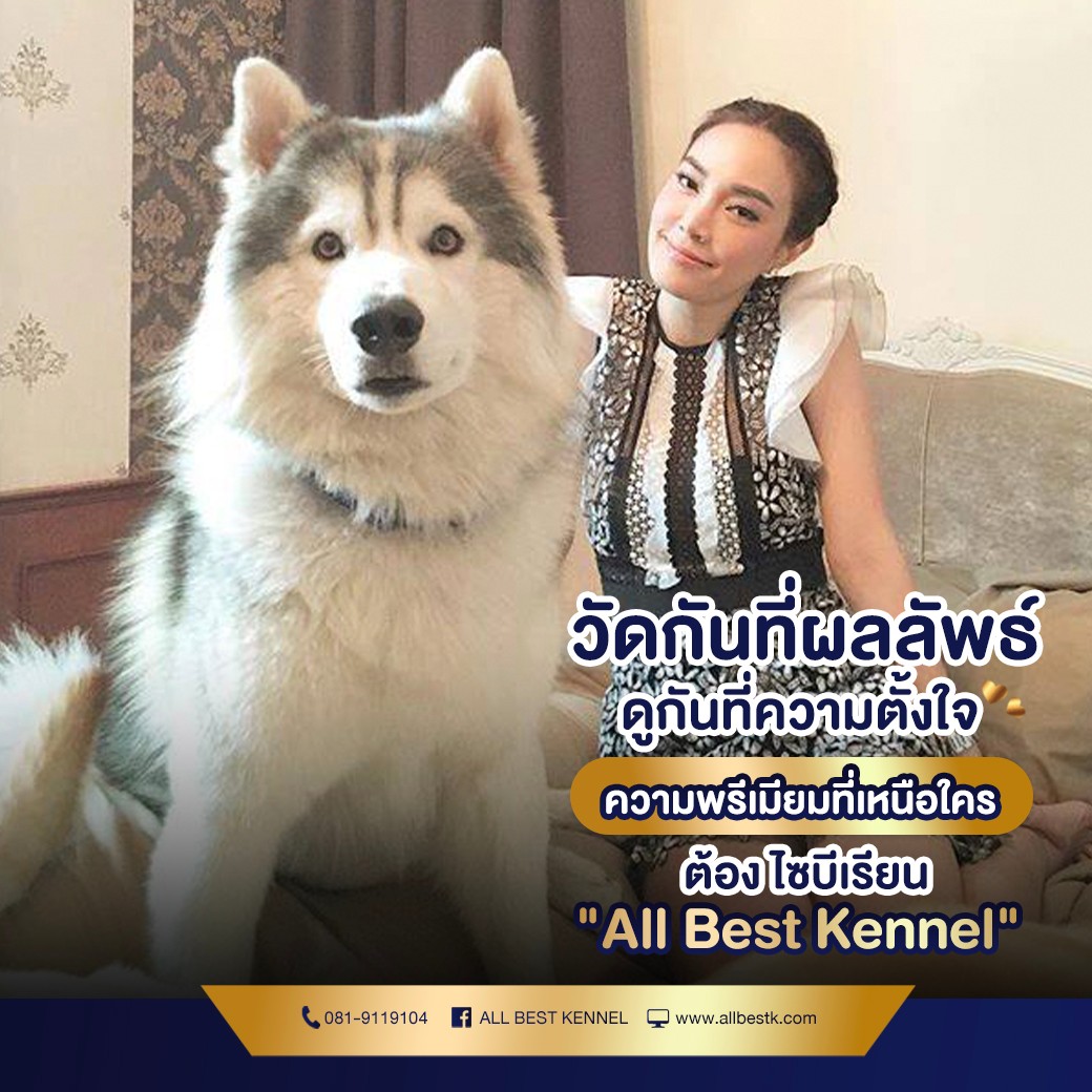 ไซบีเรียนเกรดไฮเอน พร้อมรับ มีโปรแกรมสุขภาพฟรี ตลอดชีพ