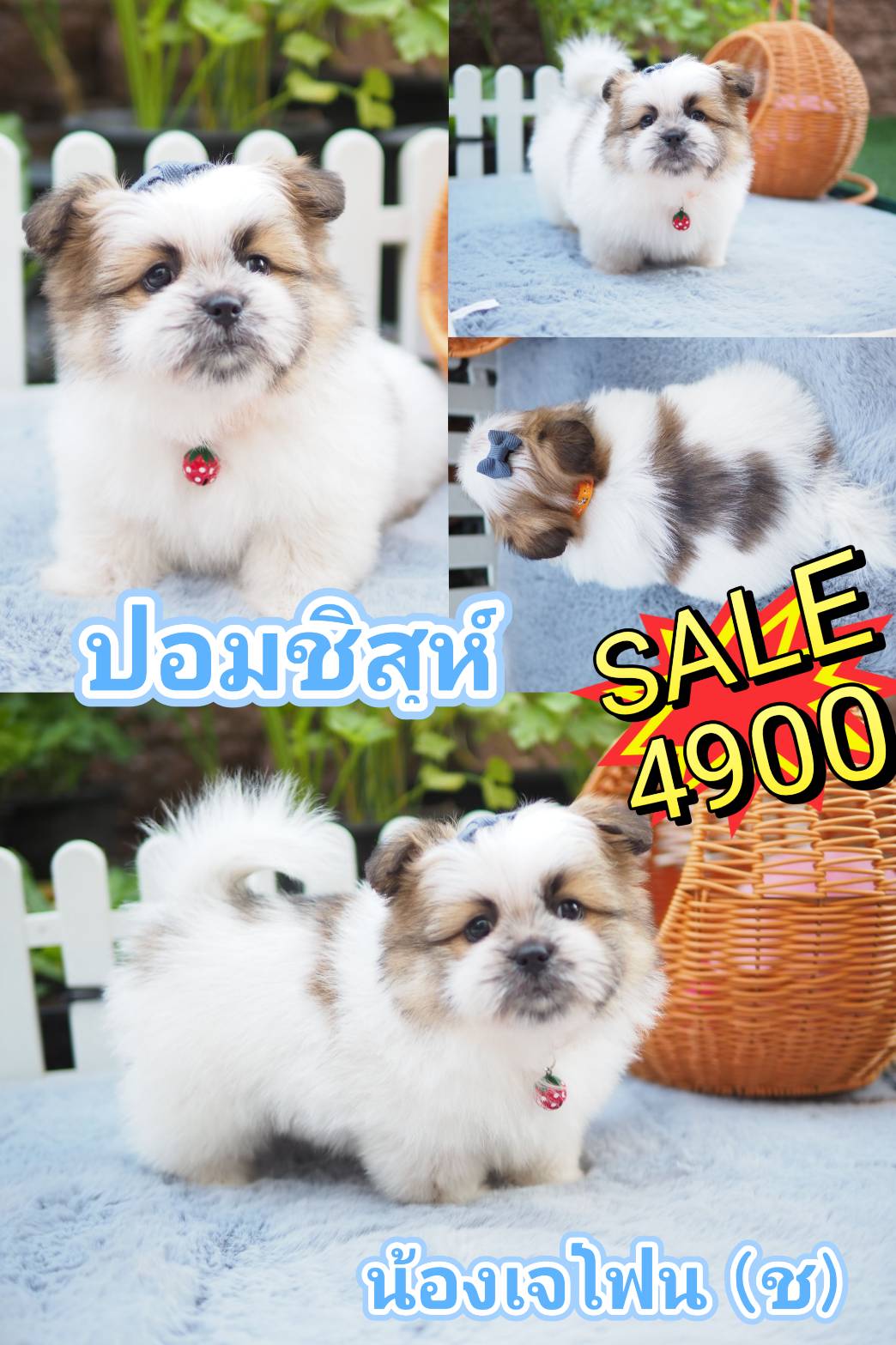 กิ๊ฟซ่า มาแล้ว