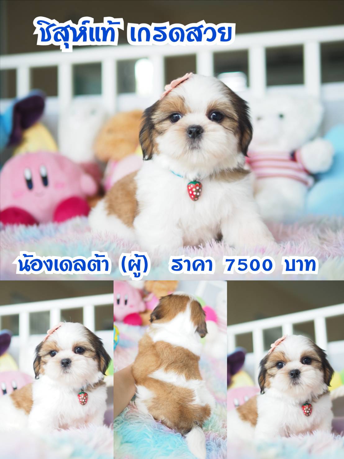 ⛔️kibzaa มีแต่สวยๆ