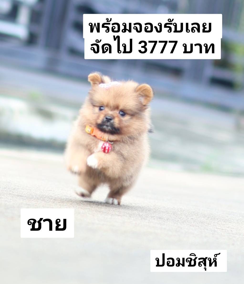 อัพเดท 05/11/68