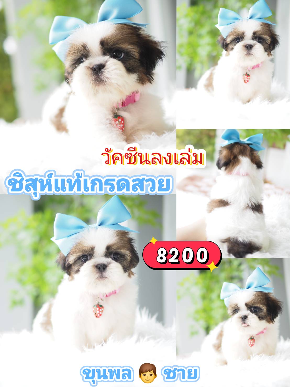 กิ๊ฟซ่า ❣️ วัคซีน