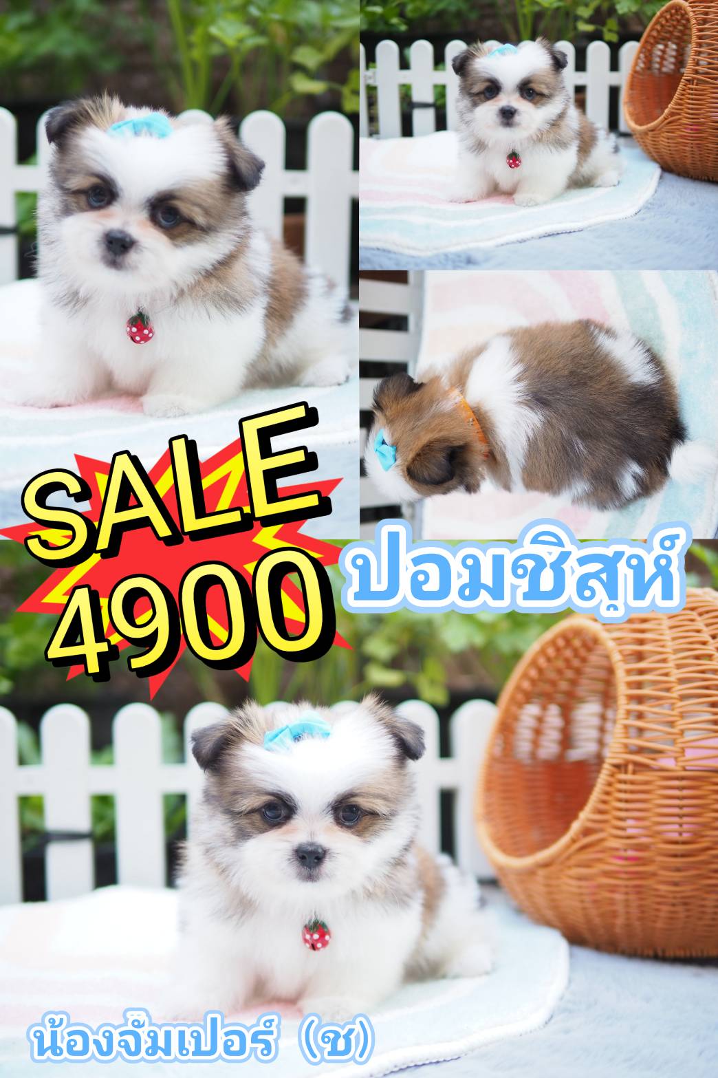 กิ๊ฟซ่า มาแล้ว