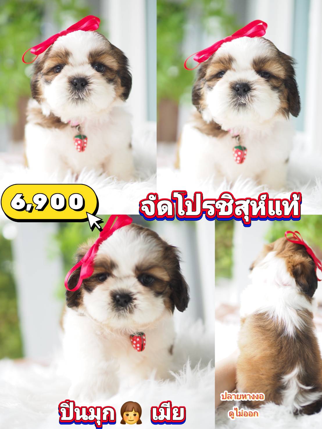 กิ๊ฟซ่า ❣️ 6900 แท้