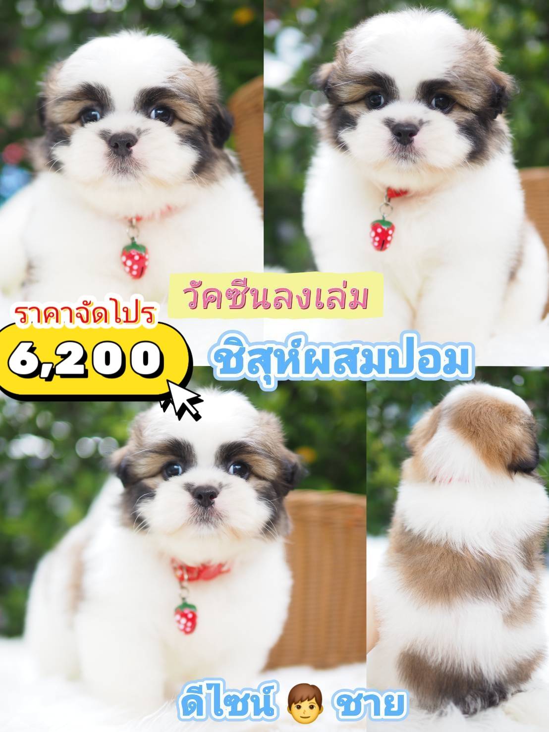 กิ๊ฟซ่า ❤️ จัดโปร