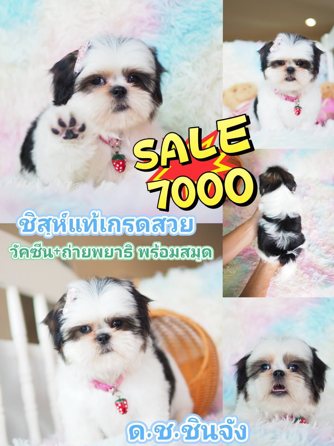 กิ๊ฟซ่า พร้อมวัคซีน