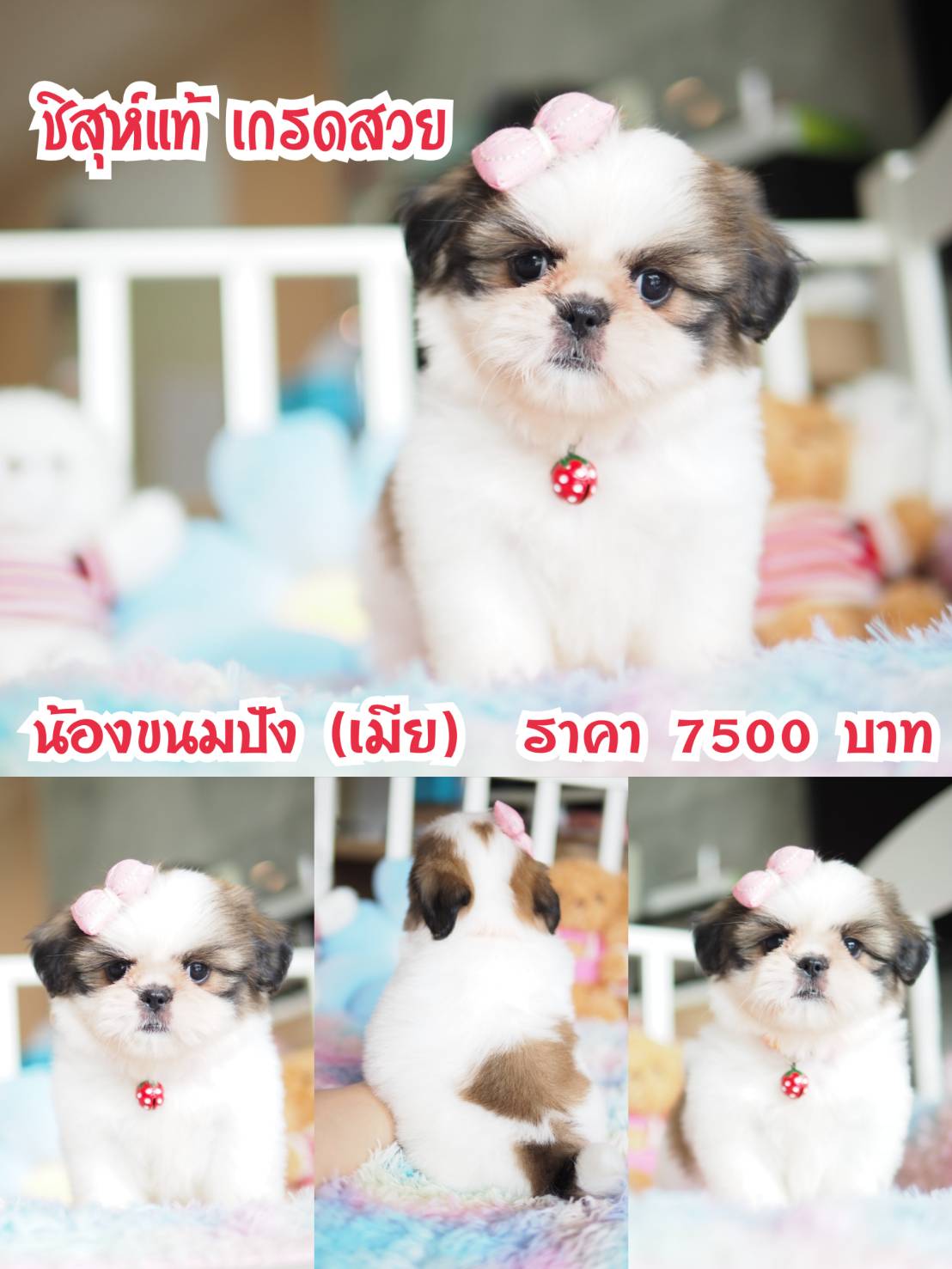 ⛔️kibzaa มีแต่สวยๆ
