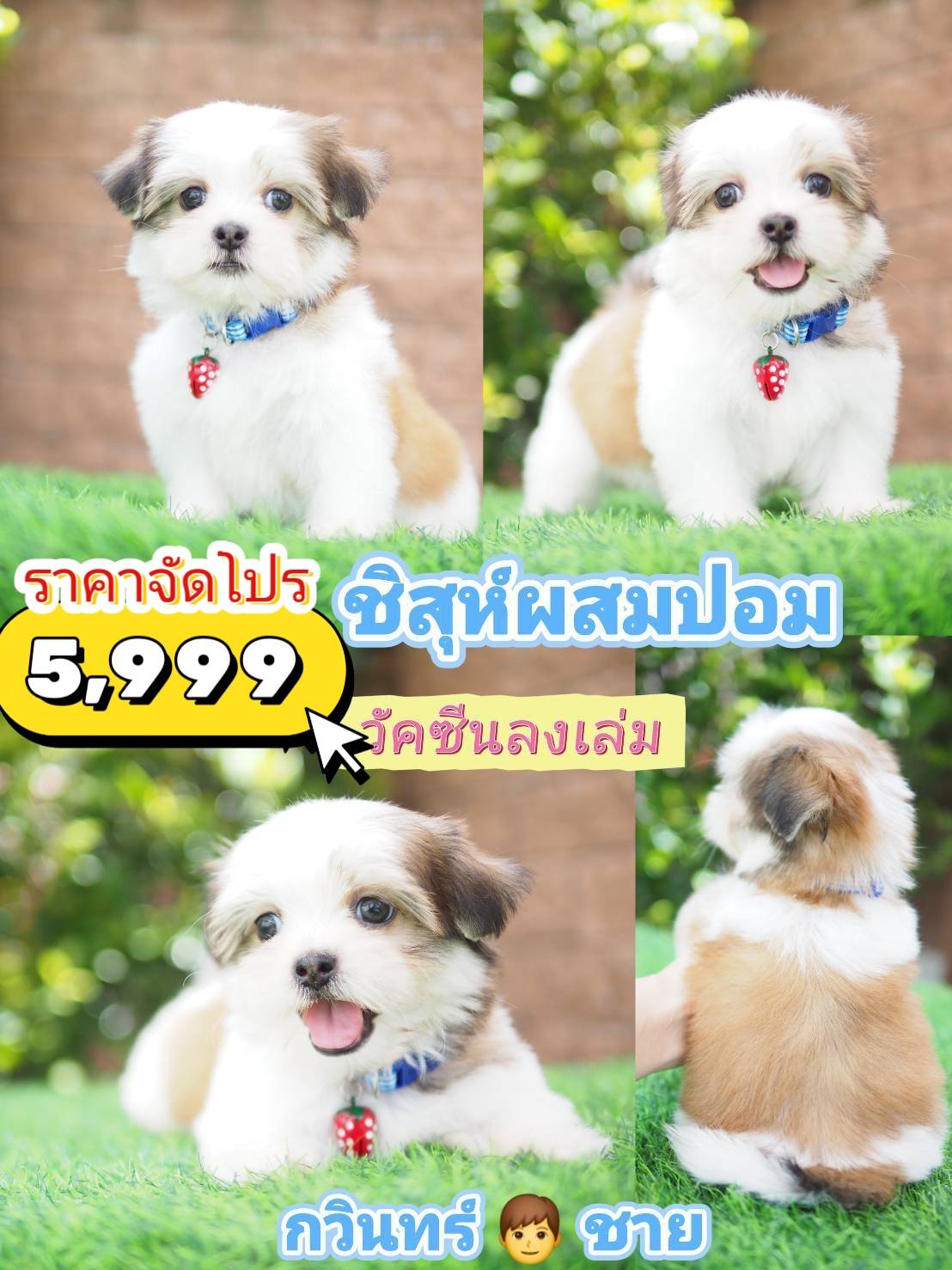 กิ๊ฟซ่า ❤️ จัดโปร