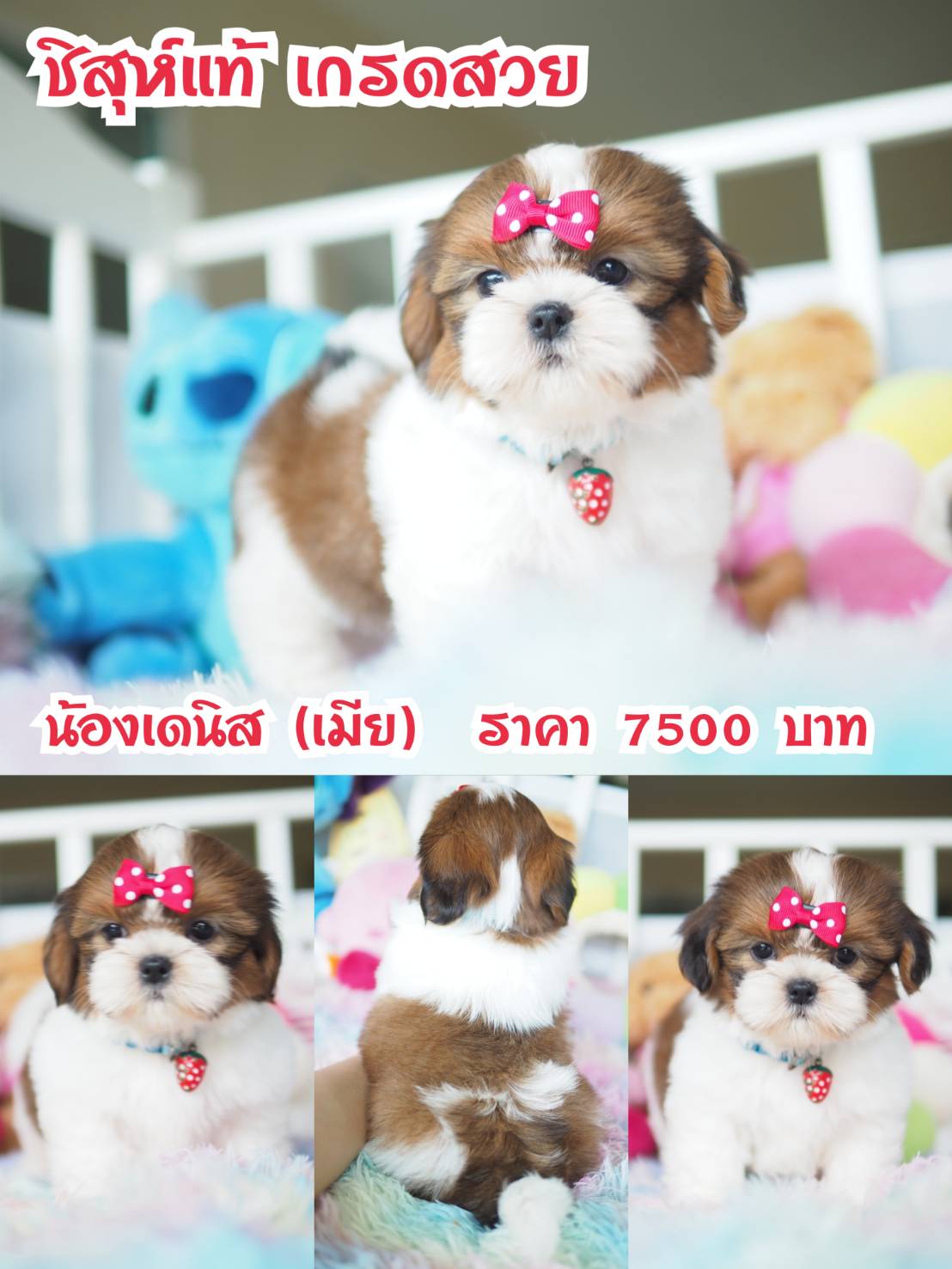 ⛔️kibzaa มีแต่สวยๆ